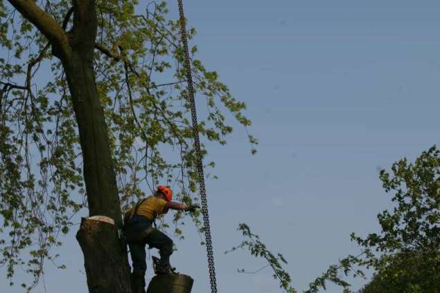 bomen rooien hovenier Hoenderloo Hoenzadriel Hoeve Hoevelaken Hoge Enk Holk Holkerveen Hollenberg Holterhuizen Homoet Hoge-Enk Hoogbroek  Hoogmeien Hoonte Hoorn Hoornerveen Hoorzik Horssen Horst Horsthoek